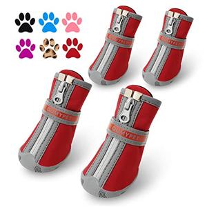 QUMY Dog Shoes for Small Dog, Puppy Dog Boots & Paw Protectors for Winter, Summer Hot Pavement, Waterproof in Rainy Weather, Ourdoor Walking, Indoor Hardfloors Skid-Resistant Soles, Red, Size 2