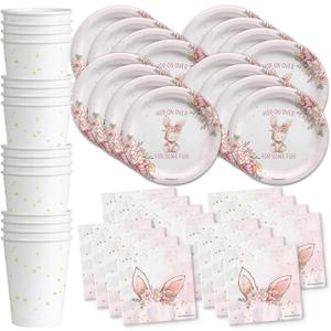Easter Plates - Easter Party Supplies - Some Bunny Birthday Party Supplies - Tableware Set Includes Plates Napkins Cups - Kit for 16