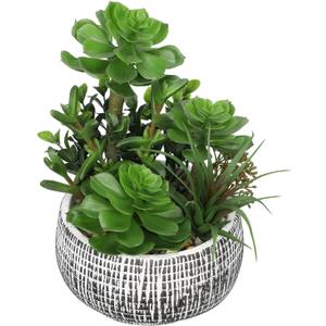 Villa Como 10 Large Succulents Plants Artificial in Ceramic Pots Potted Faux Succulent Arrangement with Black Bowl Pots Fake Desk Succulents Plants for Home Bathroom Shelf Table Indoor Decor