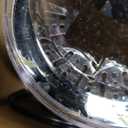 Cuisinart Pulp Control Citrus Juicer, Orange Juicer Squeezer and Lemon Squeezer with 3 Pulp Control Settings, Accommodates Small Limes and Large Grapefruits, CCJ-500P1, Black/Stainless Steel