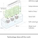 Click & Grow Indoor Herb Garden Kit with Grow Light | Smart Garden for Home Kitchen Windowsill | Easier Than Hydroponics Growing System | Vegetable Gardening Starter (3 Basil Pods Included), Grey