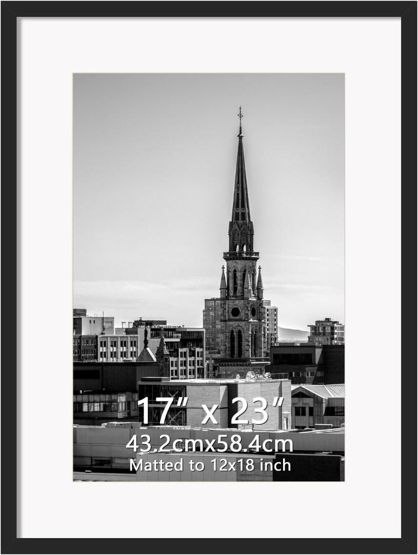 Hoikwo 17x23 Black Picture Frame, Display Pictures 12x18 with Mat or 17x23 Without Mat, 1 Pack 17 by 23 Frame for Wall Hanging (17x23 matted to 12x18)