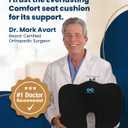 Everlasting Comfort Doctor Recommended Memory Foam Seat Cushion for Office Chairs & Car - Ergonomic Office Desk Accessories - Cushions for Tailbone Pain Relief, Sciatica (Black Cool, Large)