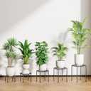 5-Pack Metal Plant Stands for Outdoor Indoor, Anti-Rust Iron Flower Pot Stand, Heavy Duty Plant Pot Shelf for Multiple Plant, Decoration Racks for Home, Patio & Garden (Black)