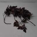 Hananona 4 Pcs Artificial Cimicifuga Leaf Spray, 23 in Faux Burgundy Fall Greenery Branch with Long Stems for Vase, Farmhouse Thanksgiving Autumn Centerpiece Halloween Decor (4, Chocolate, 23 in)