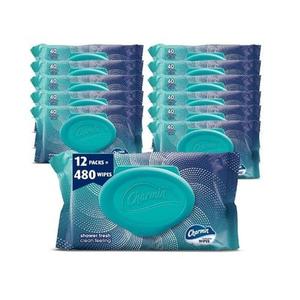 Charmin Flushable Wipes, 480 Total Wipes (12 Packs of 40) 40 Count (Pack of 12)
