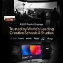 ASUS ProArt PA32UCDM 32 Inch 4K 240Hz OLED Professional Monitor for Mac | QD OLED, Delta E<1, Thunderbolt 4 PD 96W, Dolby Vision, Ergonomic Stand, 99% DCI-P3, Dolby Vision, DisplayHDR True Black 400