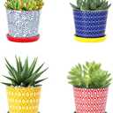 Selamica Ceramic Succulent Pots, 3.4 Inch Small Pots for Plants with Drainage Holes and Saucers, Succulent Planters for Indoor Plants, Cactus, Home Decor, Set of 4, Assorted Colors