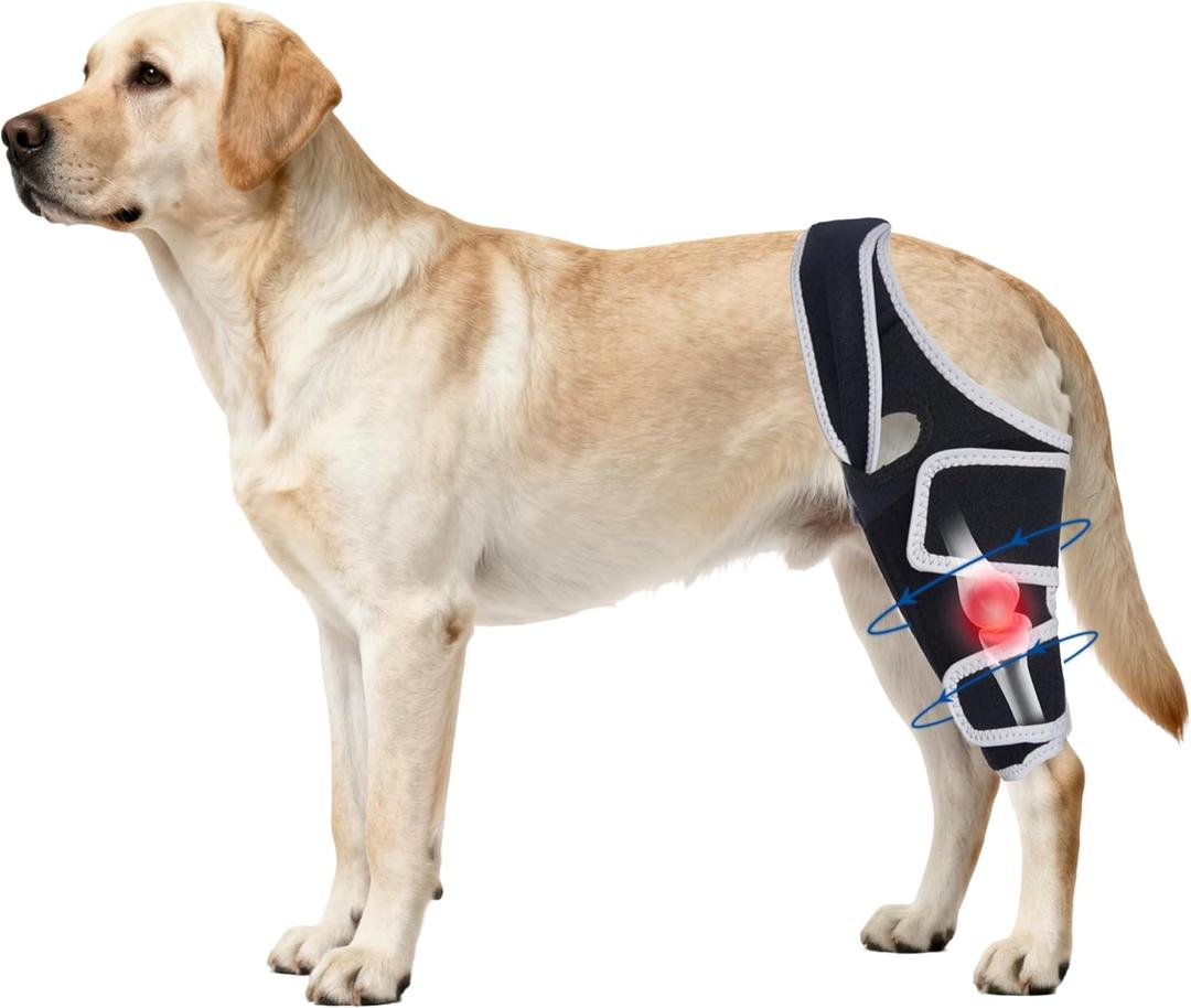 Adjustable Dog Hind Leg Brace for Small to Large Dog,Dog Knee Brace for Torn Acl Hind Leg with Metal Stabilizer- Keeps The Joint Warm and Stable,4 Size, L
