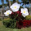 5.9 Ft Large Paper Artificial Flowers,Giant Flowers for Decoration,Standing Huge Handcrafted Poppy Flowers for Garden,Hotel,Office,Photography Props,Wedding,Art Gallery,Shop Window Display(B-White)