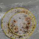 WDF 20Pack Floral Plates Disposable - Fancy Baroque Butterfly Plates - 10 and 7 Floral Plastic Tableware Decor Suitable for Spring Garden Party/Tea Party/Birthday