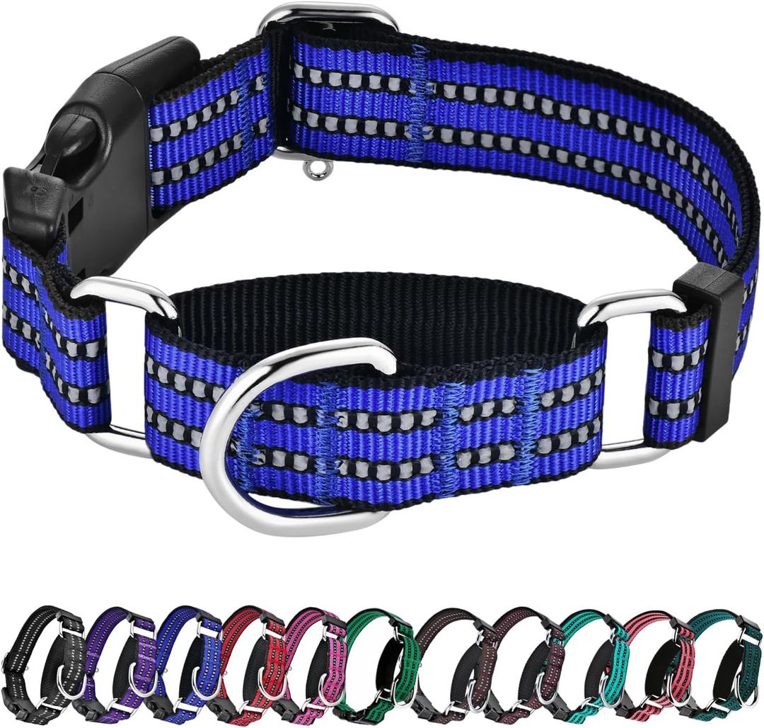 Hikiko Martingale Collar for Dogs Reflective Nylon Dog Collar with Quick Release Buckle Adjustable Training No Slip Dog Collar (Large, Blue)