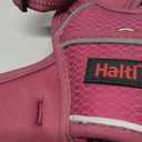 HALTI Anatomy Dog Harness with Handle - Provides Your Dog Freedom of Movement for Comfortable Walking. 3 Leash Attachment Points, Neoprene Padded, Adjustable, and Reflective (Size Medium, Magenta)