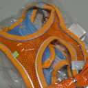 Cat Harness and Leash Set Soft Adjustable Escape Proof Cat Leash Breathable Comfortable Vest Easy to Wear Kitten/Small Dogs Harness for Outdoor Walking (Blue)