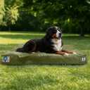 47 Inch Durable Indestructible Dog Bed for XXL Dogs, Outdoor Canvas Chew Proof Pet Crate Mat with Waterproof Washable Removable Cover, Indoor Patio Pet Pad for Crate, Green