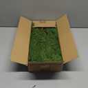 12 Pcs Artificial Norfolk Pine Branches, Norfolk Pine Artificial Pine Stems DIY Crafts Faux Christmas Greenary Norfolk Pine Branches for Xmas Wreath Garland Home Decor (12)