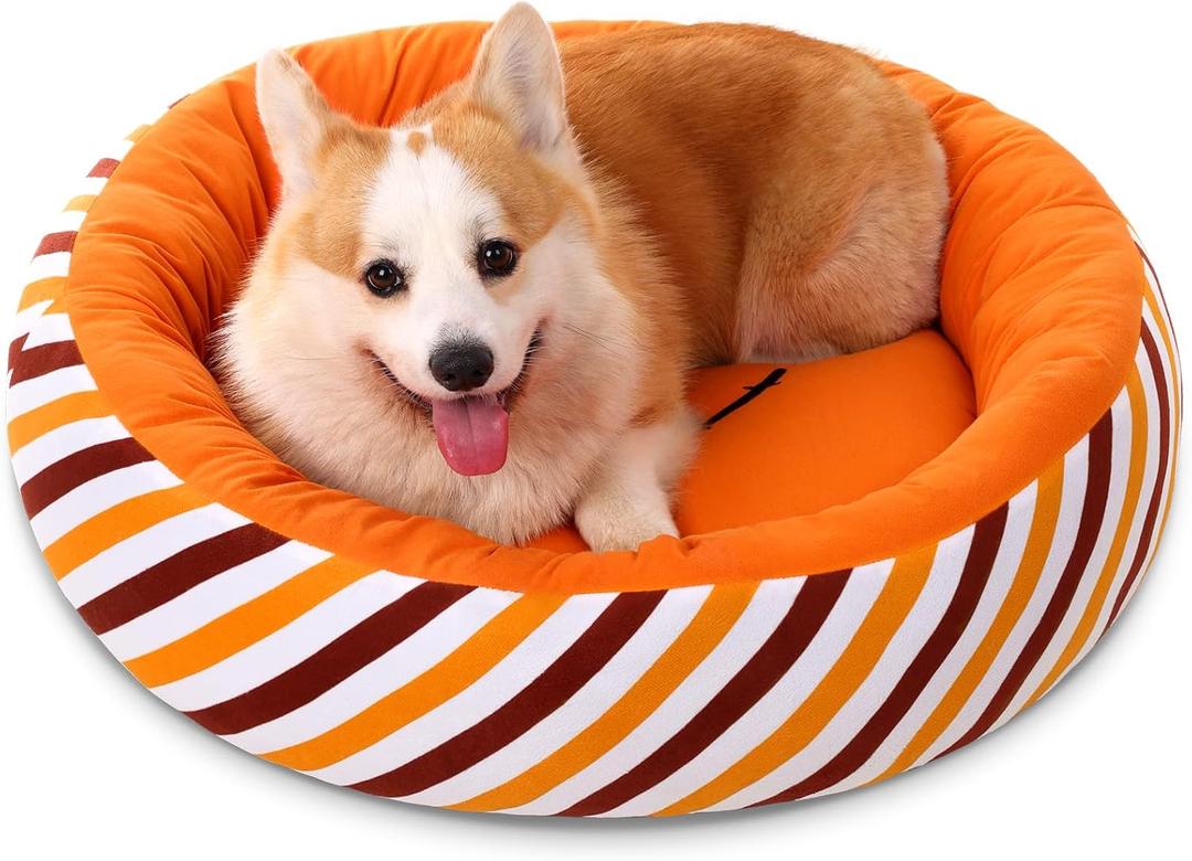 Halloween Donut Round Dog Bed and Cat Cushion for Small Medium Dogs, Calming Dog Beds, Pumpkin Cat Beds for Indoor Cats, Fits up to 15lbs Pet,Dog Decorations Pet Gifts(Small,20"x20") 