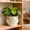 Vintage Flower Pots for Indoor Plant, Round Ceramic Plant Pots with Drainage Holes and Saucers, 6.7/5.2/3.9 Inches Retro Flower Planters Set of 3 (Morning Glory)