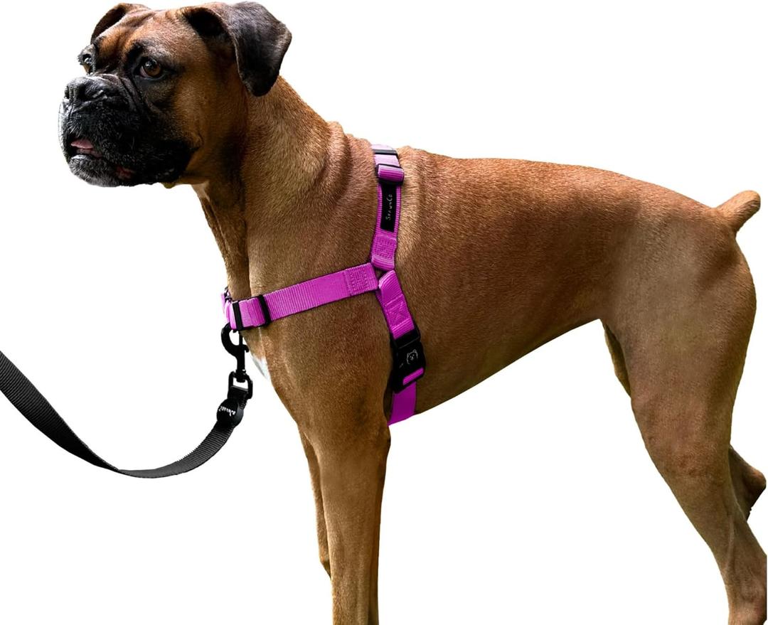 ShawnCo Dream Walk No-Pull Dog Harness- Adjustable, Comfortable, Easy to Use Pet Halter to Help Stop Pulling for Small, Medium and Large Dogs (Orchid, M)