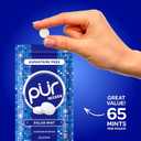 4 x PUR Mints, Polar Mint, Xylitol Mints, No Artificial Flavor, 65 Count (EXP 03/29/29)