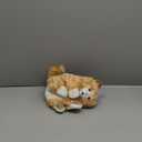 Folkmanis Orange Tabby Kitten Hand Puppet Orange, White, 1 EA