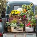 Green and Gray Fresh Produce Outdoor Canvas Rectangular Wall Art Decor 16 × 24"