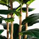 Nearly Natural 7ft. Artificial Fiddle Leaf Tree in Decorative White Planter