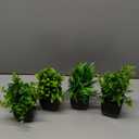 GREENTIME 4 Pack Fake Plants in Black Pot Mini Artificial Eucalyptus Potted Plant Small Faux Grass Greenery Potted for Indoor Home Office Farmhouse Bathroom Table Decoration (Black-natural)