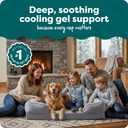FurHaven Cooling Gel Dog Bed for Large Dogs, Perfect Comfort Sofa Bed with Cool Gel-Top Foam with a Solid Orthopedic Foam Base for Joint Support, Washable Cover, Jumbo XL, Plush & Velvet, Granite Gray