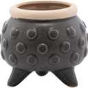 Napco Imports Decorative Home or Garden 3 x 3.75 Inch Indoor or Outdoor Footed Flower Pot Planter Black and Brown Dotted Circle