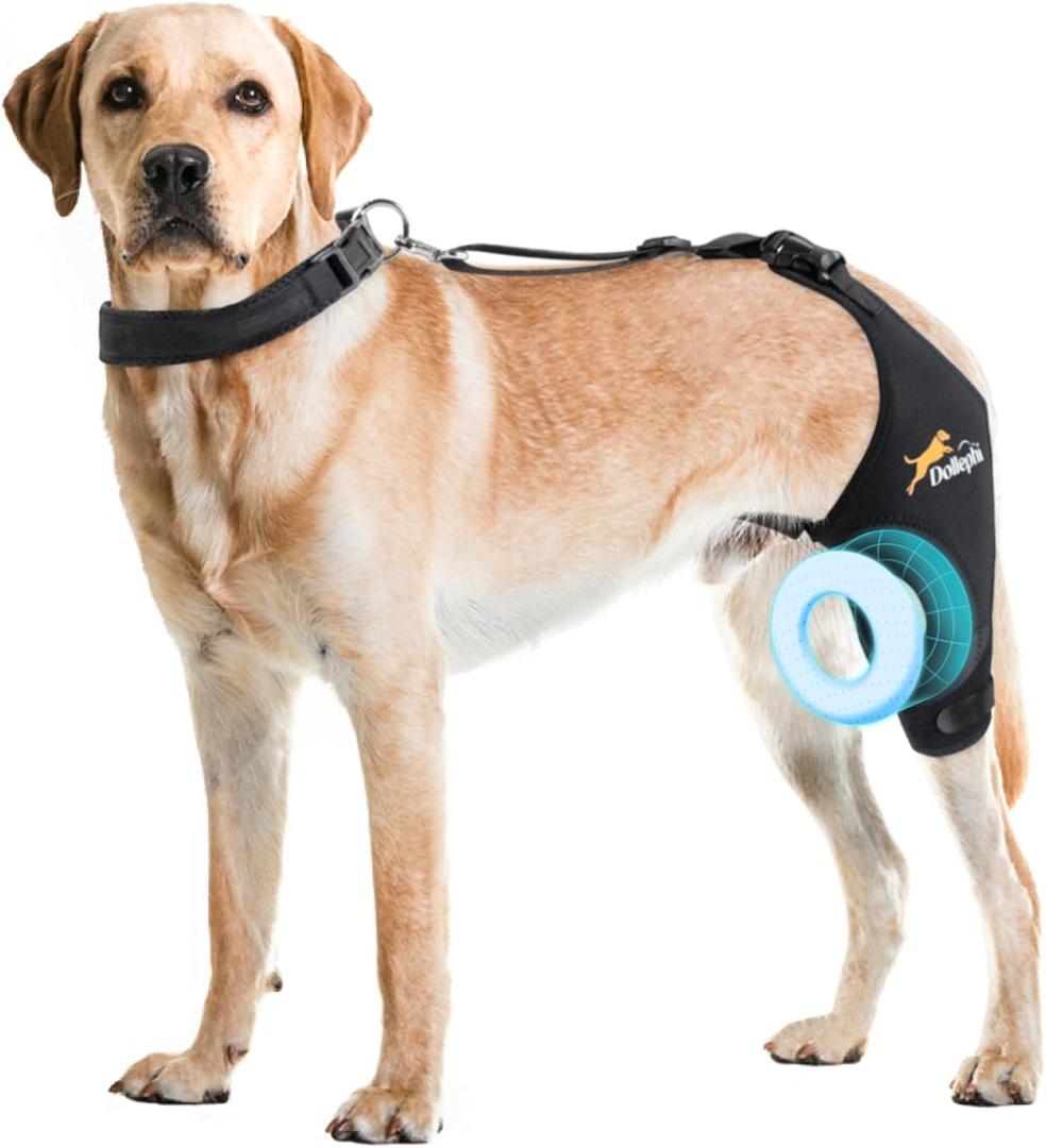 Dollephi Dog Knee Brace for Torn ACL Hind Leg, Hot/Cold Compress for Patella Dislocation or Osteoarthritis, Cruciate Ligament Injuries, for Medium & Large Dogs(Left Leg,L)