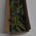Faux Eucalyptus Stems Willow Eucalyptus Leaves 34 Long Fake Salix Leaves 3 Pcs Artificial Greenery Stems for DIY Bouquet Arrangements Centerpieces Shower Decorations-Artificial Eucalyptus Stems (3Pcs)