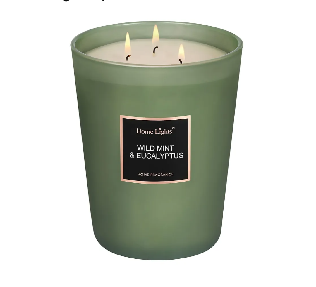 HomeLights Scented Candles - Large Jar Aromatherapy, Natural Soy Wax, 130 Hour Long Burning, Wild Mint & Eucalyptus