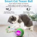 Interactive Cat Toys for Indoor Cats, Interactive Cat Ball Toy with Elastic Mesh Tail, Automatic Cat/Kitten Toys with Chirping & Motion Activate, Cat Toys for Bored Indoor (Green)