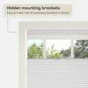 Cordless Cellular Pleated Window Shades - 23 Inch Width, 64 Inch Length - Alabaster - Light Filtering Top-Down Honeycomb Pull Down Blinds for Windows and Skylights by Achim Home Decor