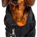 Grease: T-Birds Pet Costume for For Dogs or Cats by Rubies, Medium (Black)