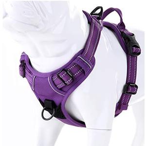 JUXZH Truelove No Pull Dog Harness with Easy Control Handle and 2 Leash Attachments,Reflective Adjustable Pet Vest Medium