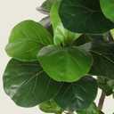 Realead Fiddle Leaf Fig Tree Artificial - 5ft Faux Fiddle Leaf Fig Tree with White Planter - Large Fake Fig Tree with Natural Trunk and Lifelike Leaves for Home Living Room Indoor Decor