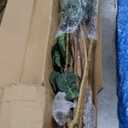 Nearly Natural 6ft Fiddle Leaf Fig Artificial Tree with 6 Natural Trunks, 270 Lush Green Leaves