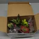 DECOROUS Artificial Succulents Plants Unpotted -14 Pack– Large Fake Succulent Plant Indoor Outdoors – Realistic Faux Cactus Suculentas Bulk for Home DIY Décor – Small Desert Plastic Cacti Succulants