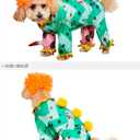 Rubies Clown Pet Costume for Dogs or Cats, XL (Extra Large, Green)