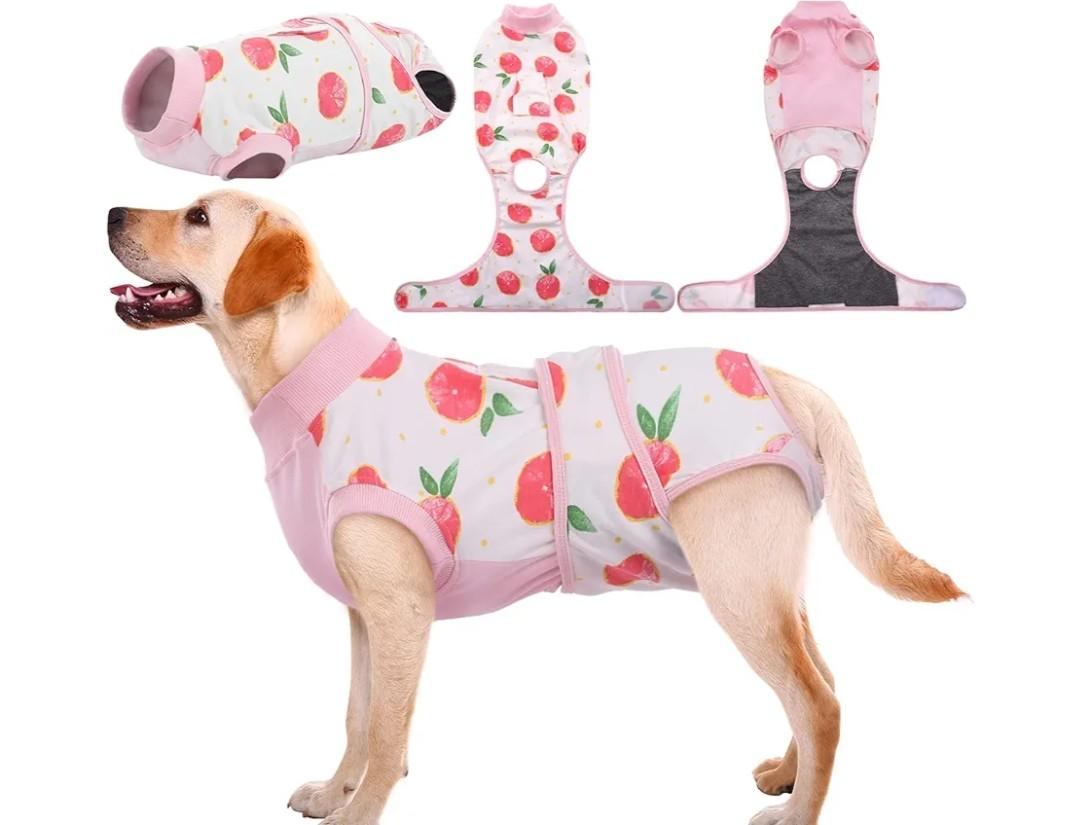 Kuoser Dog Recovery Suit Female, Dog Onesie for Surgery, Female Spay and Male Neuter Onesie for Post-Op Care, Prevent Licking Puppy Onesies (XS)