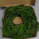 HomeKaren Norfolk Pine Garland 6ft Real Touch Realistic Christmas Pine Garland, Greenery Artificial Christmas Decorations for Table, Mantle, Wall