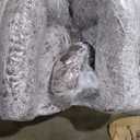 Garvee Bean Bag Chairs for Adults, Faux Fur Bean Bag Chair with Filler, Soft Plush Living Room Beanbag Chair Armrest Bean Bag Couch, Fluffy Couch Lazy Sofa Chair for Reading, Coffee