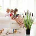 Jexine 4 Pack 2ft/24inch Artificial Grass Plant Outdoor Artificial Greenery Grass in Pot with Fake Brown Cattails for Spring Room Office Indoor Outdoor Decor Housewarming Gifts
