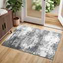 Entryway Rug 2x3 Grey Door Mat Indoor Entrance 24x36, Washable Small Throw Rugs for Kitchen Floor, Entry, Front Door, Bedroom Bedside, Non-Slip Low Pile Stain & Fade Resistant, Abstract Gray