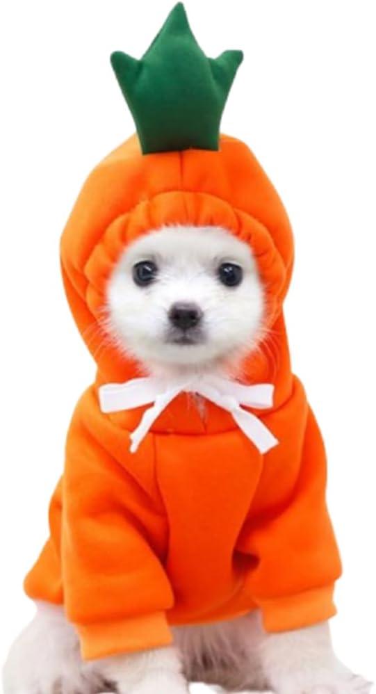 ANIAC Funny Pet Clothes - Carrot Dog Cat Hoodies Sweatshirt Coat with Fruit Hood - Fall Puppy Cat Sweater - Halloween Easter Dog Costume (Orange, Medium)