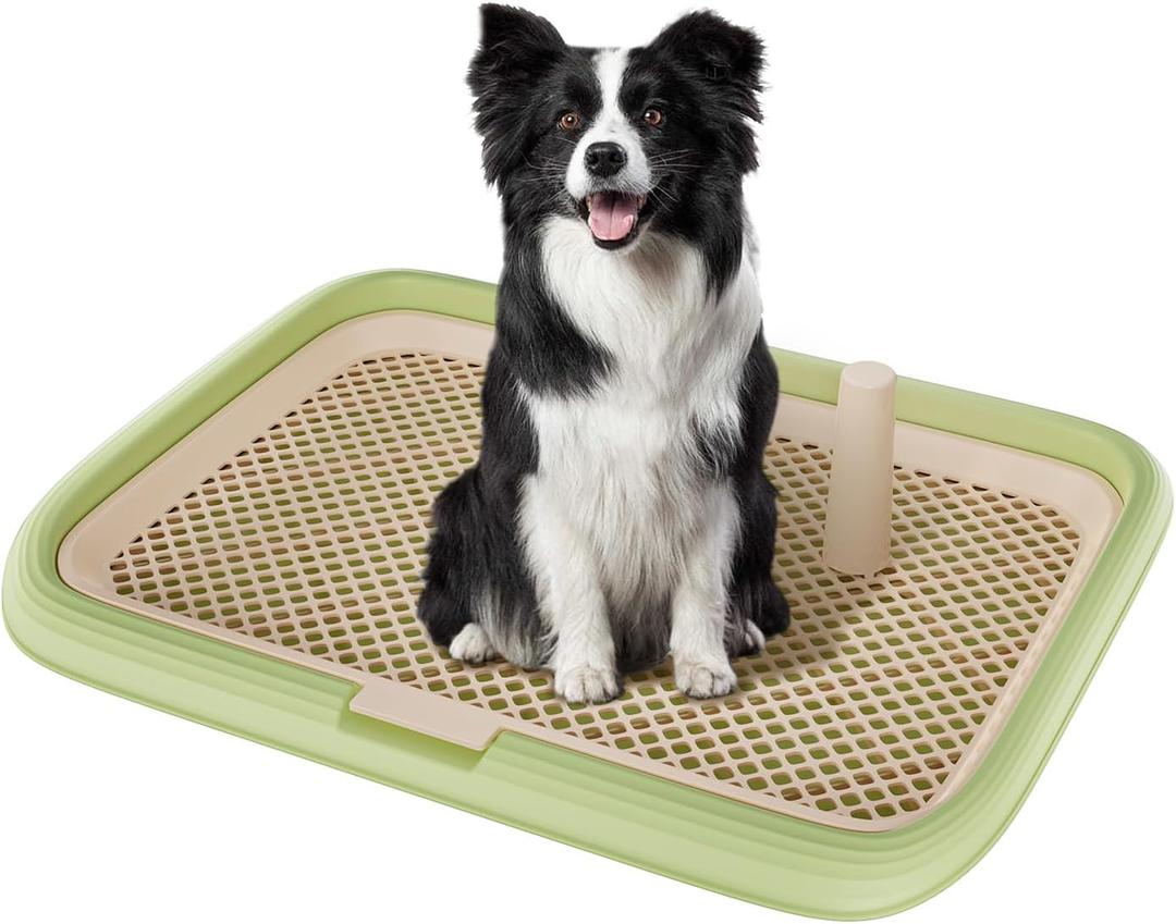 Large 23.6"x17.7" Dog Potty Tray, Indoor Pet Pee Pad Holder with Mesh Floor, Bathroom Dog Litter Box, Pet Toilet (Green)