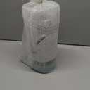 Zenna Home Toilet Paper Holder Stand, Enclosed Toilet Paper Storage Holds 3 TP Rolls, Rust Resistant Bath Tissue Holder with Lid, Frosted