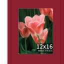 12x16 Picture Frame, Real Glass, Wood Frame with 8.5x11 Colorful Mat